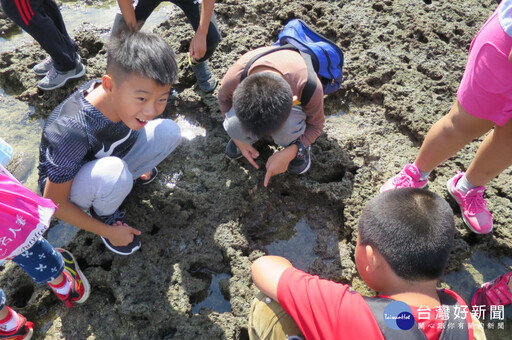 課程融入在地特色 桃園4校入圍教學卓越獎