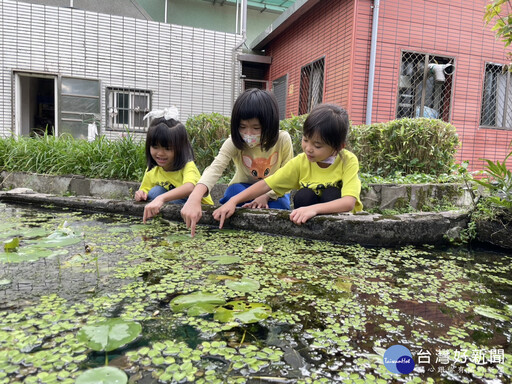 新北永續環境教育優質學校評選成績揭曉 29校領航環教受肯定