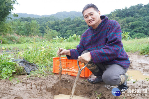 冬季進補首選新北山藥 產地體驗從農田到餐桌