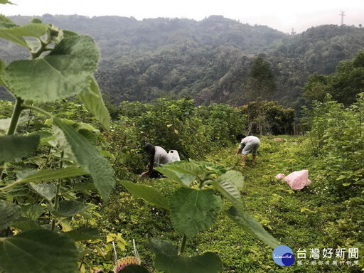 遇見i自然的你 林保署南投分署辦社區林業成果與友善石虎授證活動