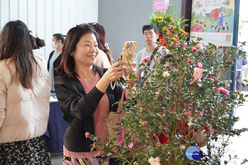 第五屆中華大學茶花祭登場 邀民眾共度浪漫周末假日