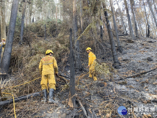 結合學者林火研究 林業署南投分署舉辦滅火訓練