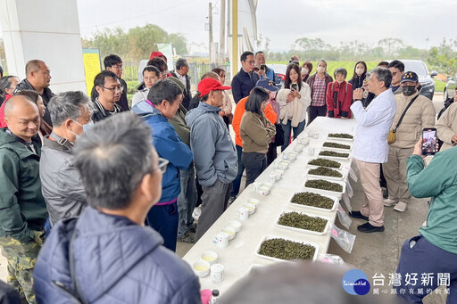 113年度全國冬片茶製茶評鑑暨講習 外縣市高手雲集