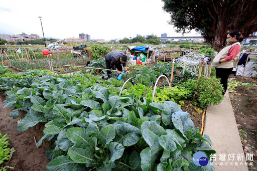 新北大都會公園樂活農園 1/6開放報名體驗當農夫樂趣