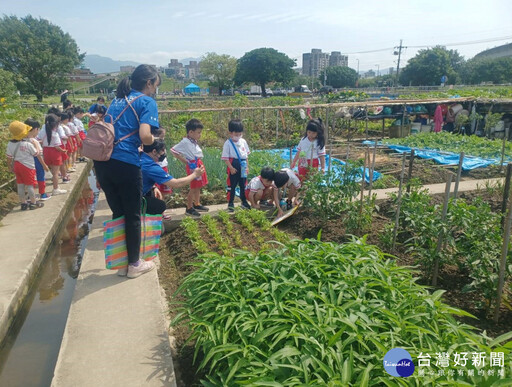 新北大都會公園樂活農園 1/6開放報名體驗當農夫樂趣