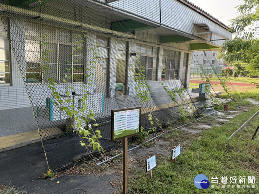 「綠牆」降溫減污 南市環保局鼓勵國中小幼兒園申請設置