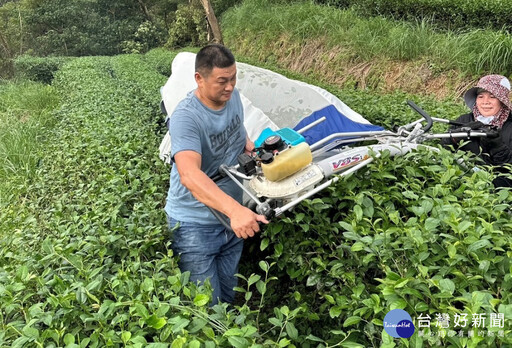 北部地區農糧組唯一 新北茶農科技管理獲全國模範農民