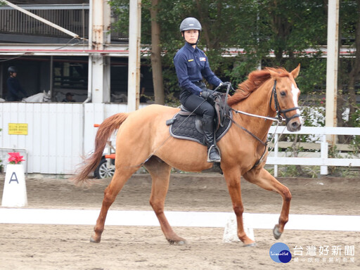 新北騎警隊添生力軍 通過高超馬術檢定