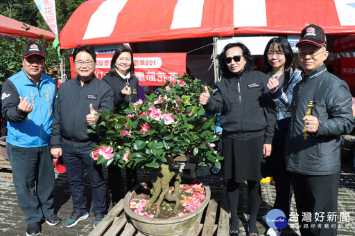 三義茶花節慶登場 苗副縣長盼建立品牌擴大行銷