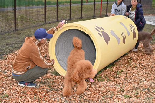 宜縣溪北首座寵物公園啟用 打造友善環境推廣寵物共融