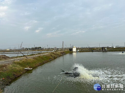 強烈大陸冷氣團來襲 高市府籲養殖業者做好防寒措施