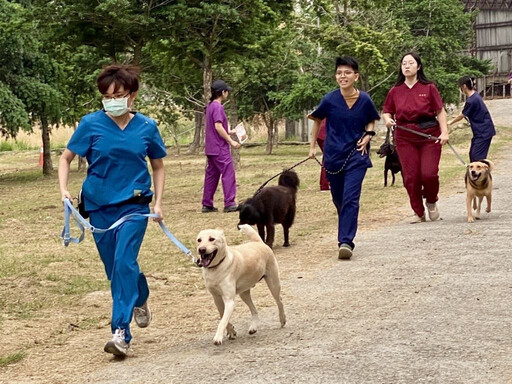 更加了解你的毛小孩 林獻堂博物館國際教育中心推「愛犬行為訓練課程」