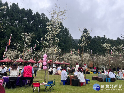 「白色戀人」櫻花茶會 情侶求婚成功