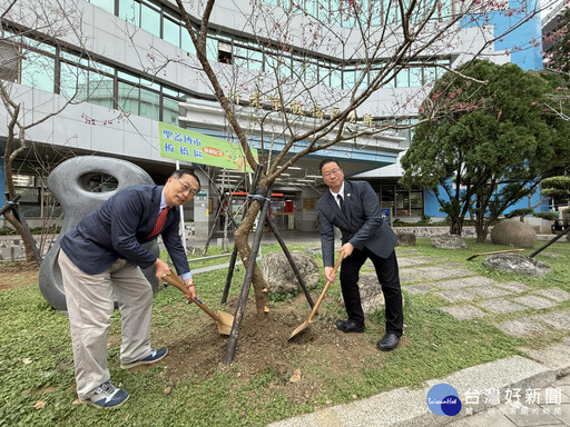 美國南加州聖蓋博市長訪板橋 共植櫻花樹深化友誼