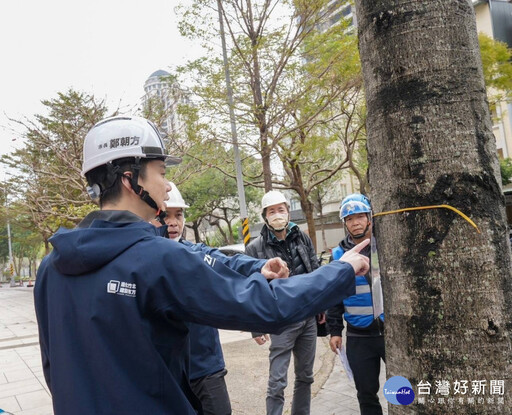 解決高鐵區掌葉蘋婆空污問題 竹北市公所編900萬3月起換樹