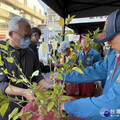 守護家園挺永續未來 議員楊啟邦辦植樹贈苗盼為環境貢獻心力