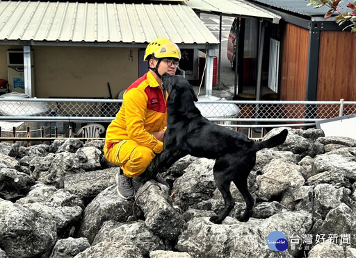 搜救量能再精進 竹市搜救犬參加IRO評量獲認證