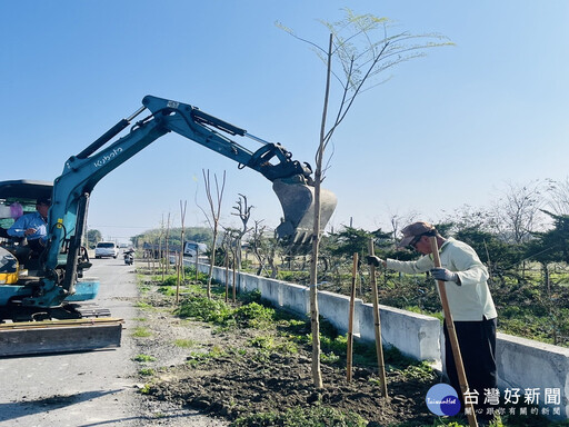 推動綠美化環境、提升城鎮景觀 二林鎮舉辦「藍花楹種樹植福活動」