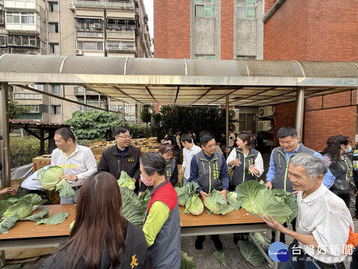 新北議員陳啟能攜手三重、蘆洲警分局 採購高麗菜免費發放市民