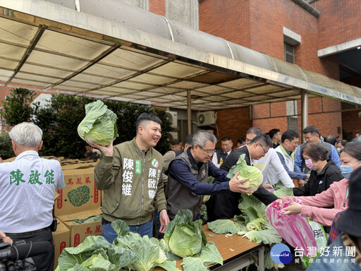 新北議員陳啟能攜手三重、蘆洲警分局 採購高麗菜免費發放市民