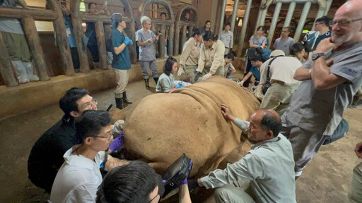 六福村首辦「長頸鹿與有蹄類動物醫療照護工作坊」 為台灣動物界注入國際視野