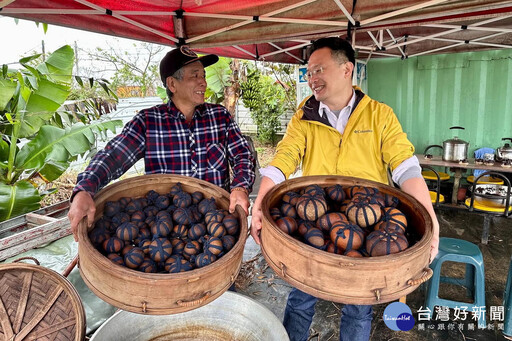 圖解酸柑茶六大工序 蘇俊賓力推台灣國寶製茶工藝