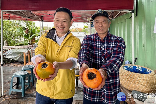 圖解酸柑茶六大工序 蘇俊賓力推台灣國寶製茶工藝