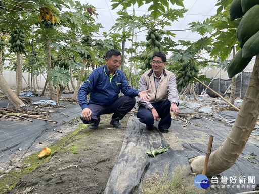 光合菌防治植物病蟲害研究成果技術轉移 為農業生產注入綠色新動能