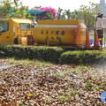 正值桃花心木落葉期 嘉市府讓「落葉變黃金」