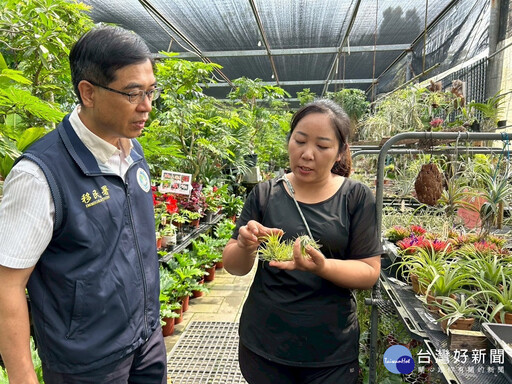 新住民在臺落地生根努力追逐夢想 用空氣鳳梨點燃綠色奇蹟