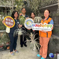 新住民在臺落地生根努力追逐夢想 用空氣鳳梨點燃綠色奇蹟