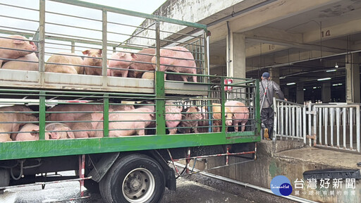 豬肉產地標示 竹縣嚴格把關食安