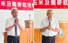 適時種植搭配合理灌排水管理 中部雜糧「2轉」免煩惱