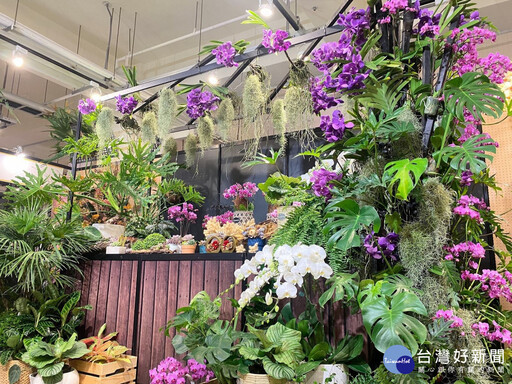 2025屏東的花卉生活美學展 賞花購花傳遞感恩