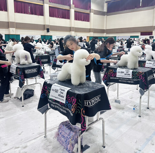 展現跨域實力 嶺東科大企管系張筑媗勇奪韓國寵物美容國際賽冠軍