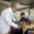 歡度母親節 秀傳寵物市集免費健檢、疫苗施打一次滿足