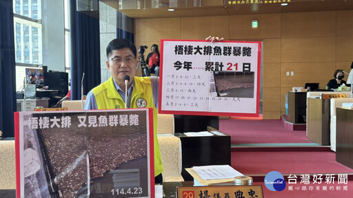 梧棲大排頻傳魚群暴斃 議員諷刺市府河川治理主工作是撈死魚?