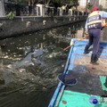 因應國際龍舟賽 台南環保局日夜監測守護運河水質