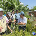 極端氣候毀稻作 AI能救農業？ 這個人勘災揭「無人機監控」新解方