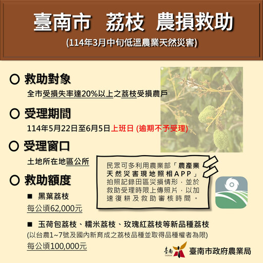 臺南荔枝著果不良 5/22至6/5受理現金救助申請