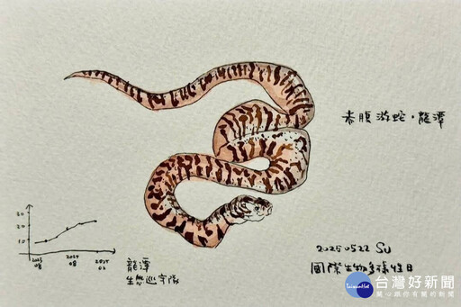 國際生物多樣性日 蘇俊賓手繪生態插圖向志工致敬