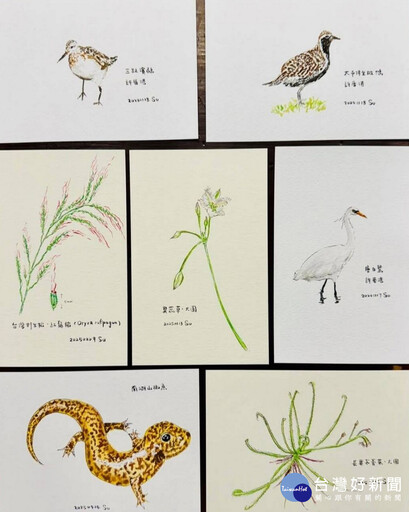 國際生物多樣性日 蘇俊賓手繪生態插圖向志工致敬