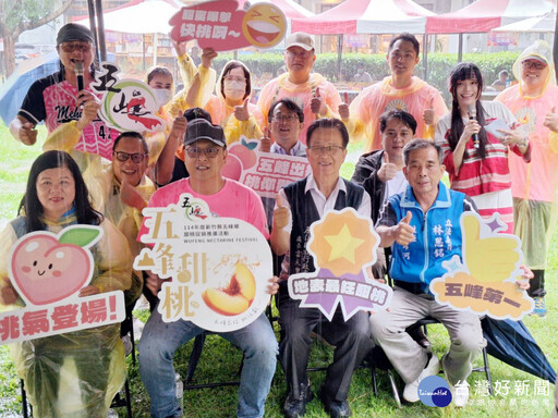 五峰甜桃快閃新瓦屋 初夏桃香甜美滋味吸引搶購