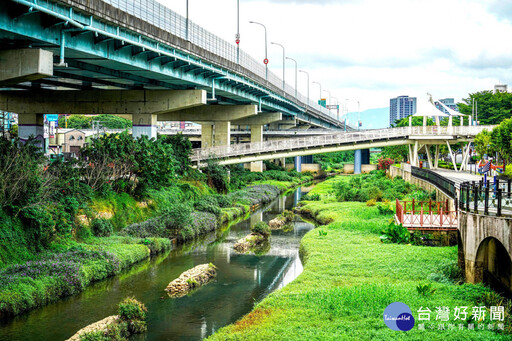 新北讓河川「活」起來 走在溪邊看到魚蝦蟹在水中悠游