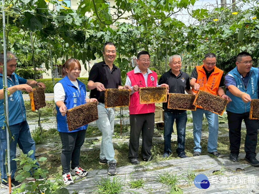 魚池鄉頭社武登地區絲瓜花期授粉計畫登場 期藉助蜜蜂幫助增加授粉效率