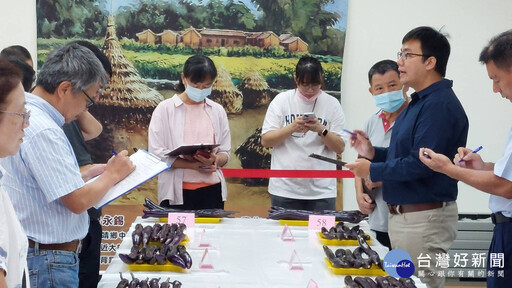 端午節掀茄子風潮 全國唯一彰化縣茄子評鑑競賽 永靖鄉農會登場