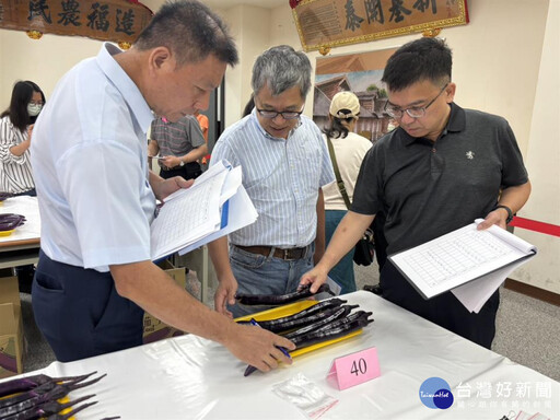 端午節掀茄子風潮 評鑑結果：永靖鄉邱秀蓮獲得冠軍