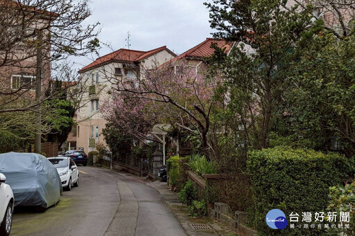因應都市發展人口成長 桃園市115年將新增13個里