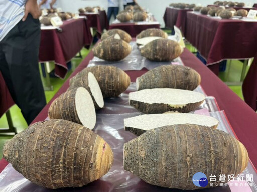 大甲區農會110週年慶「芋見幸福」歌唱大賽開放報名中! 總獎金高達54萬