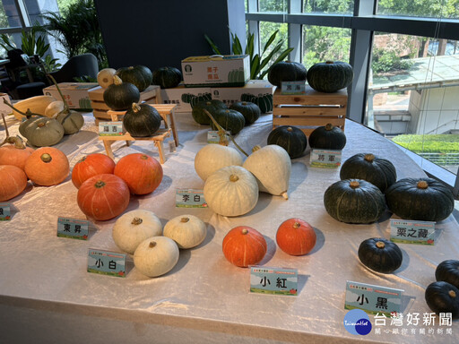 淡水南瓜展售會 16家業者推特色料理及遊程